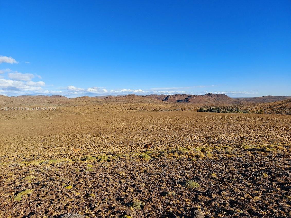 La Patagonia Tehuelches Provincia Del Chubut Argentina Property Photo