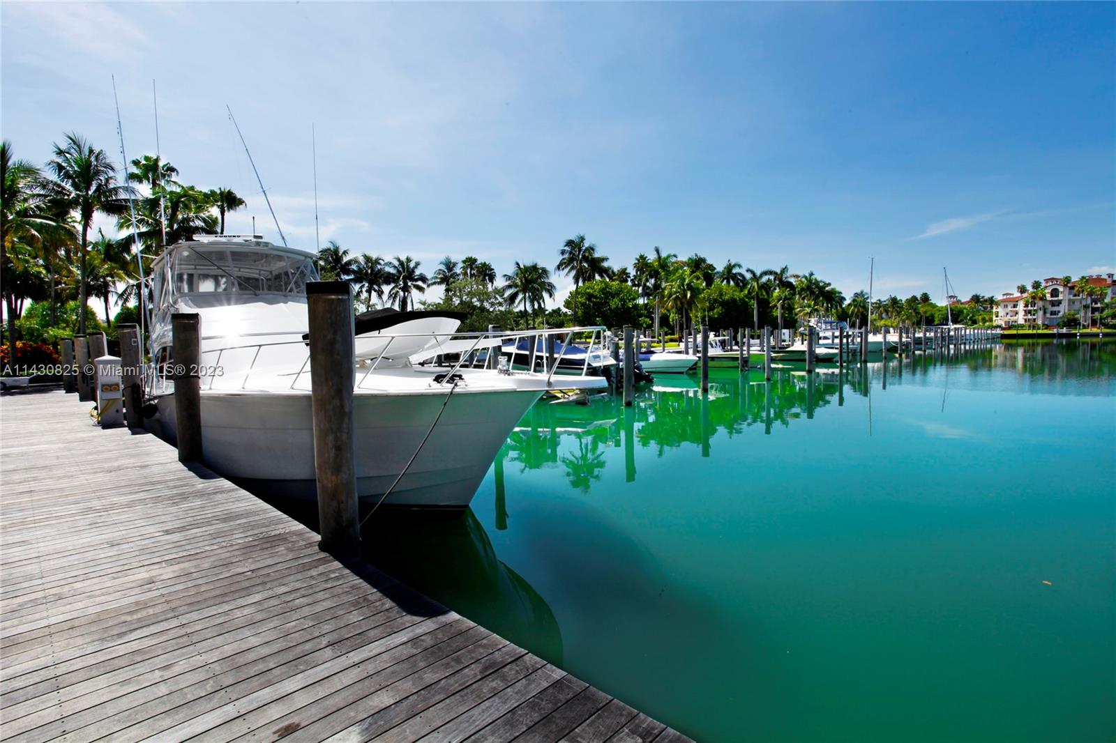 19116 Fisher Island Dr 19116 Property Photo 59