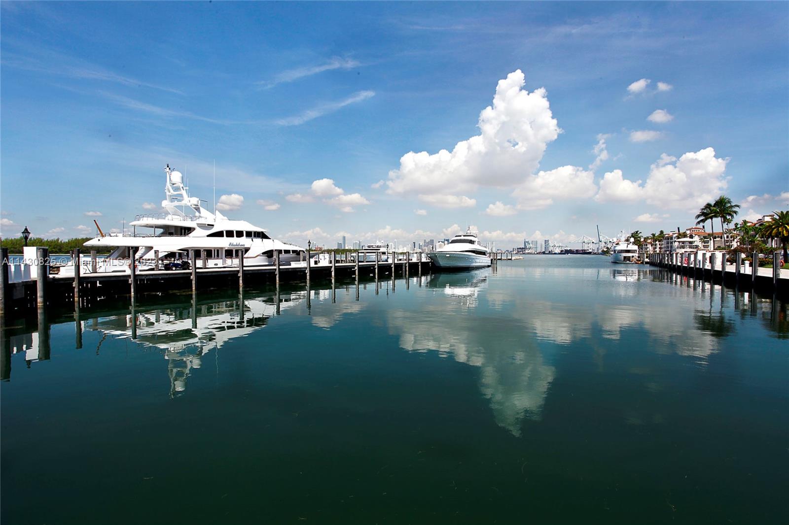 19116 Fisher Island Dr 19116 Property Photo 60