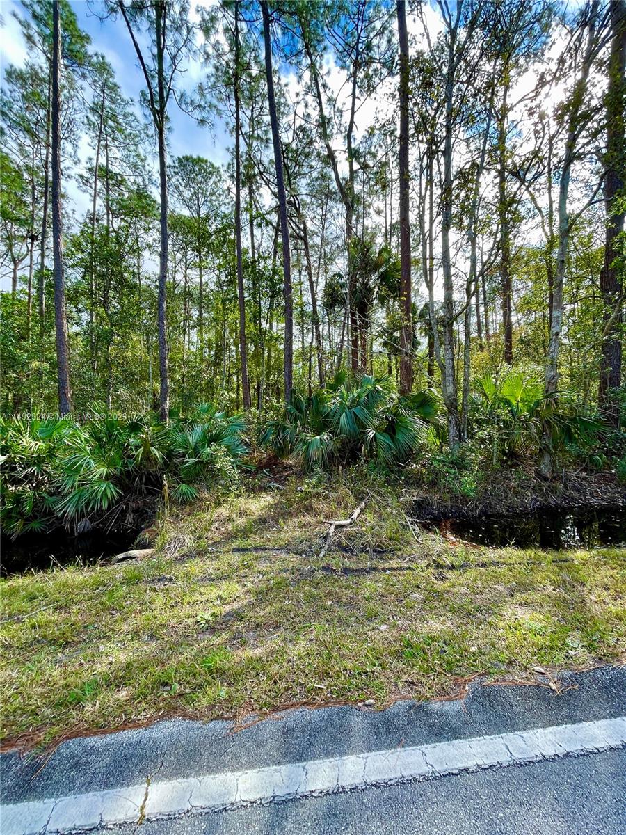 N/a Old Deland Rd Property Photo