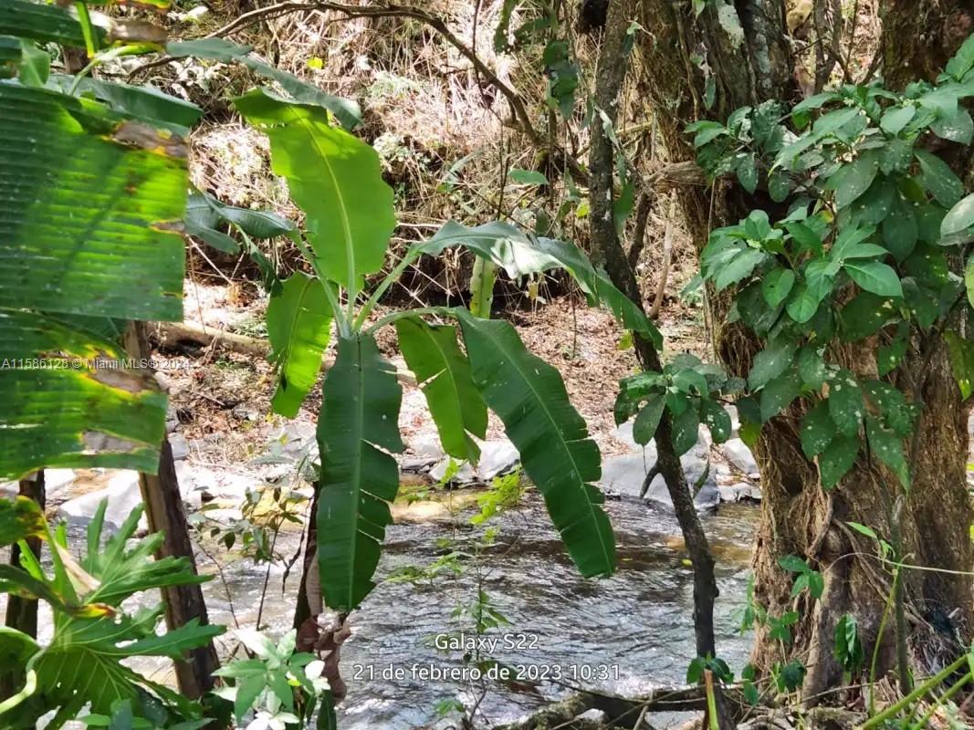 No # Puente De Piedra Y Tacares Alajuela Grecia C R Property Photo