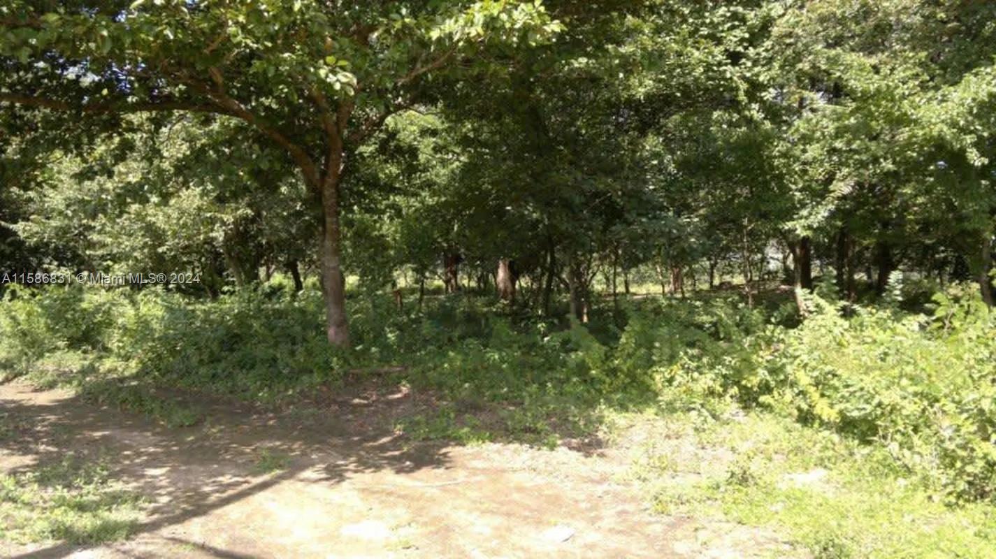 No # Liberia Frente A Carretera Y Aeropuerto 36 Hts C R Property Photo