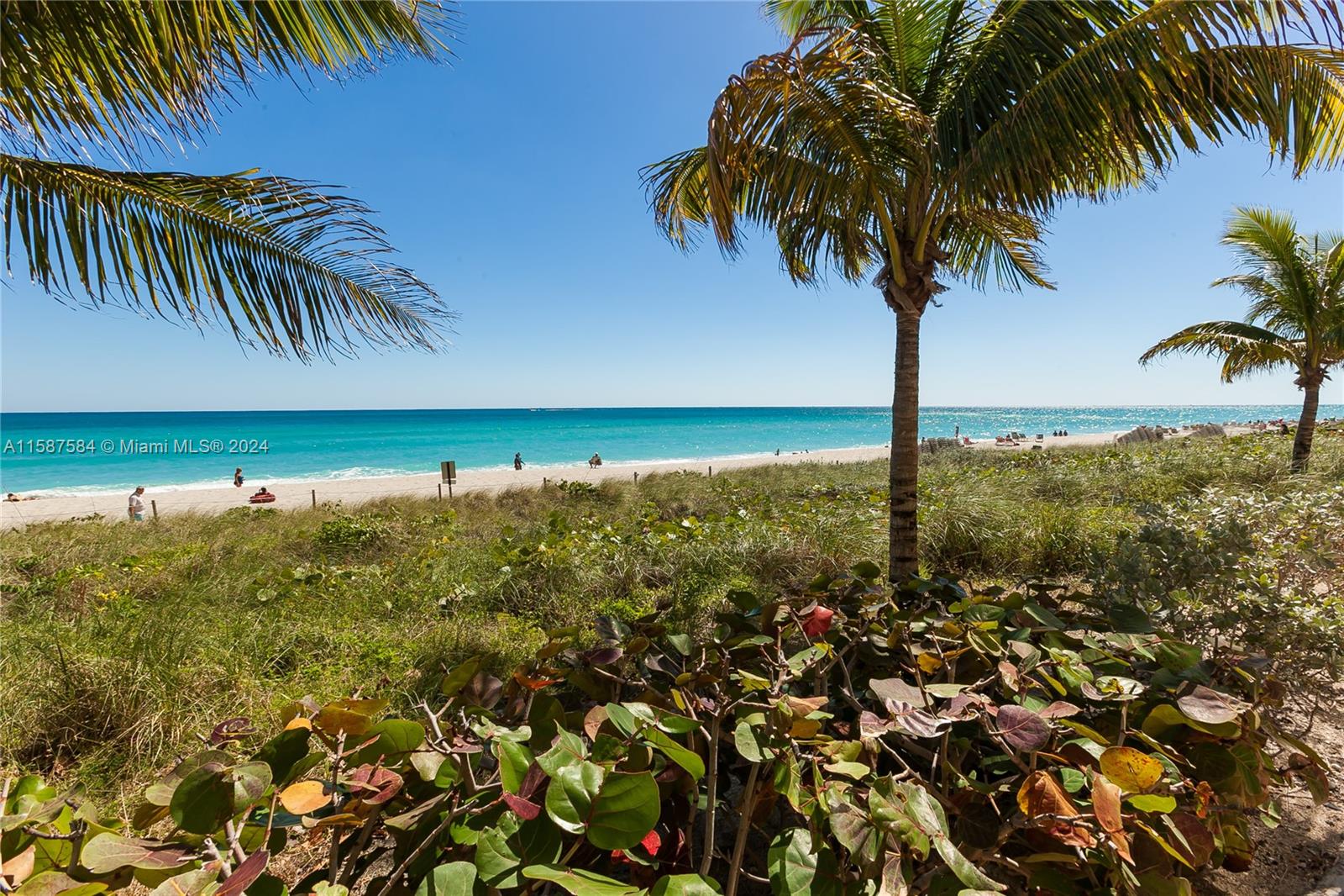 1830 S Ocean Dr 4204 Property Photo 50
