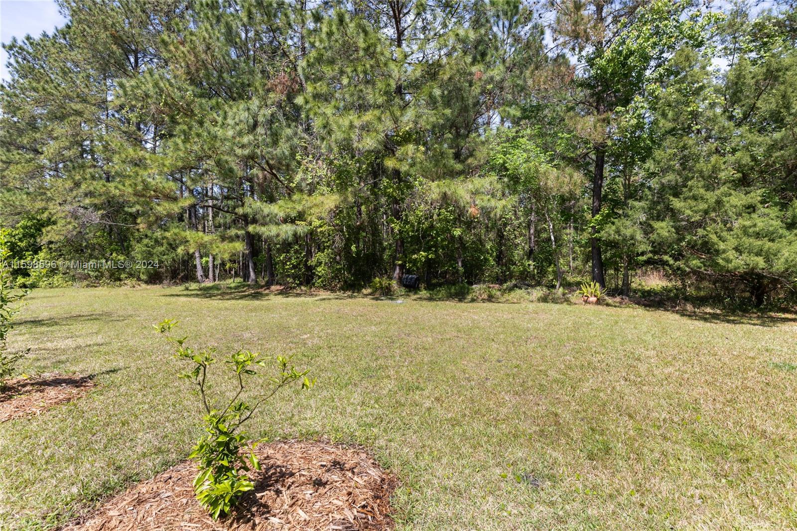 308 Silver Glen Property Photo 21