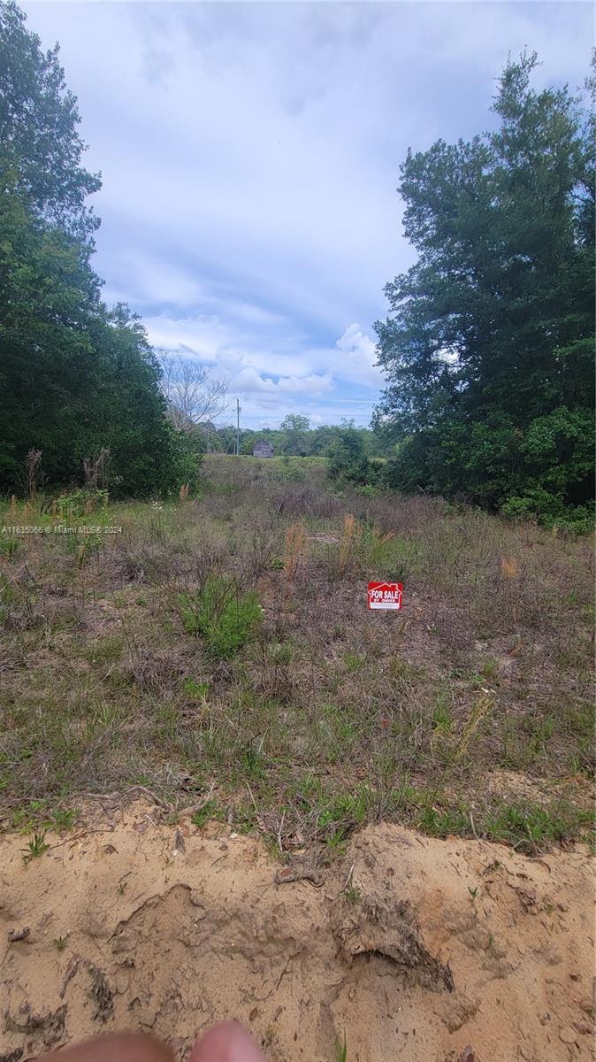 0 Lenore Ave Property Photo 3
