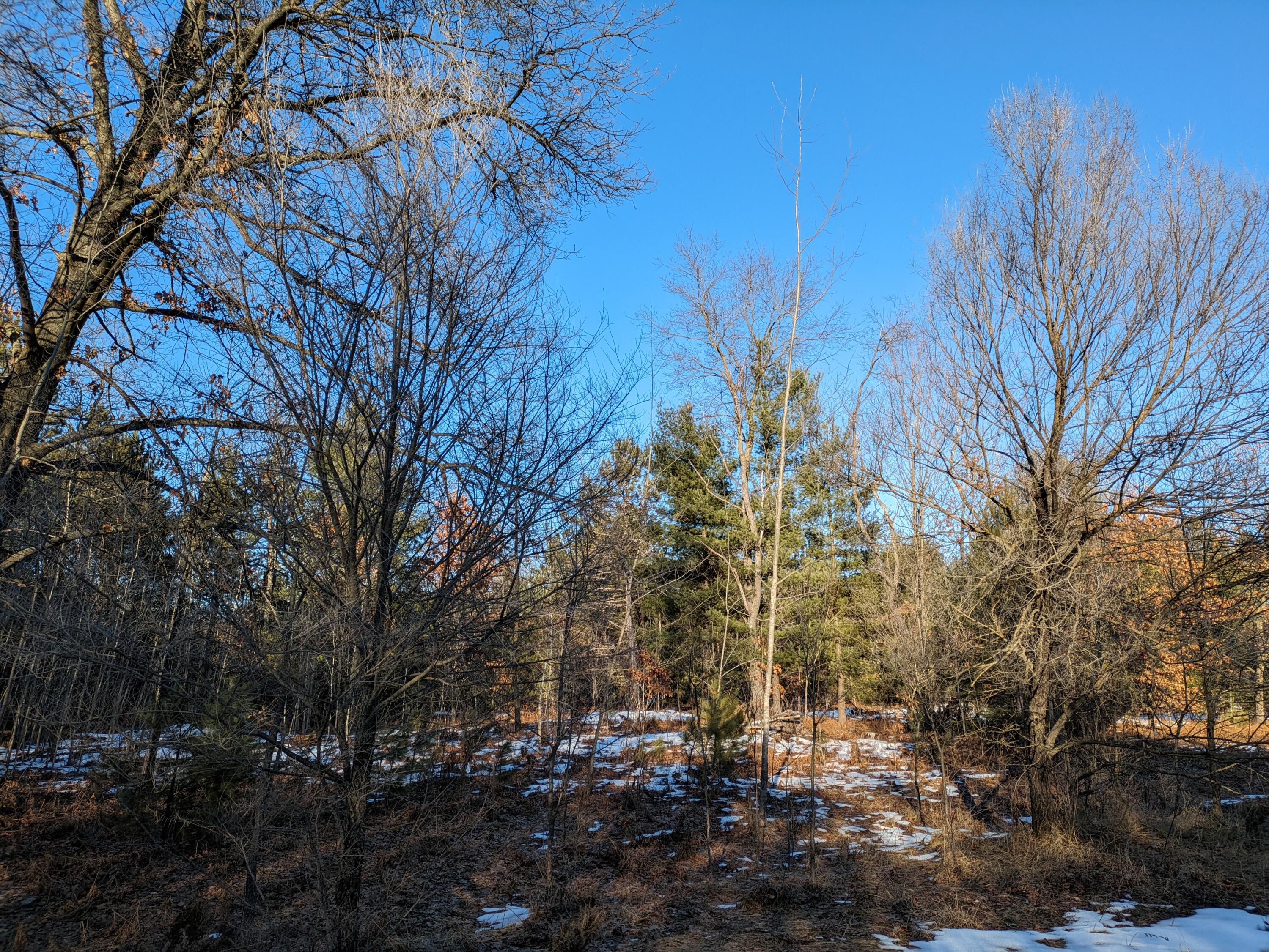 16 Louhi Street Property Photo 1