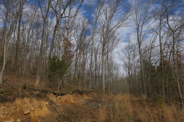 4404 Hannah Ford Rd Property Photo