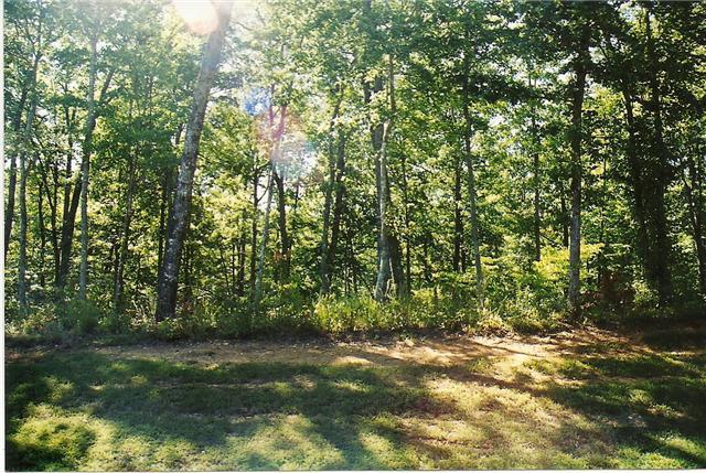 0 Windy Cut Dr Property Photo