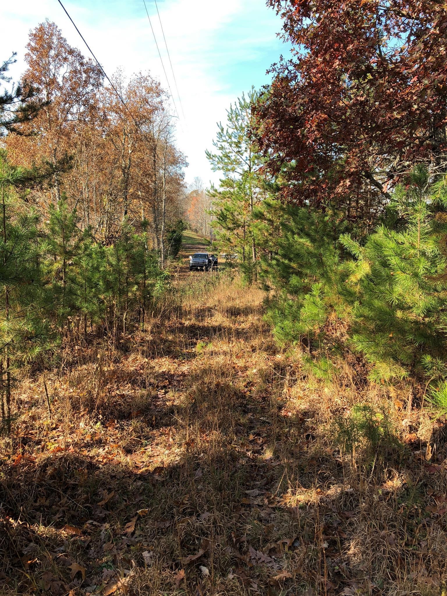 0 Antler Dr Property Photo