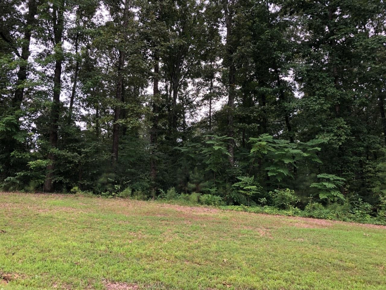 45 Arrowhead Pt Property Photo