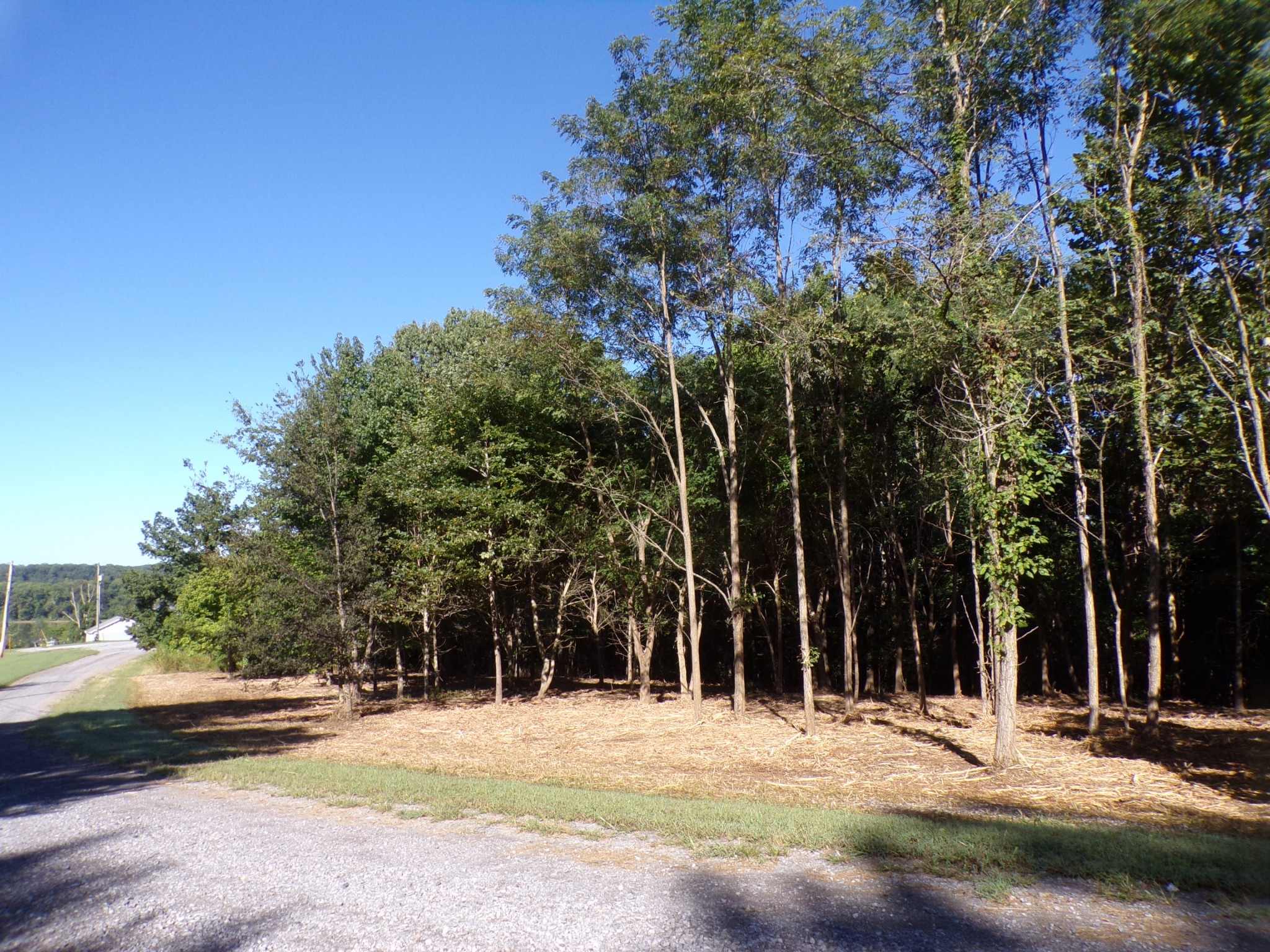 9 Diamond Point Drive Property Photo