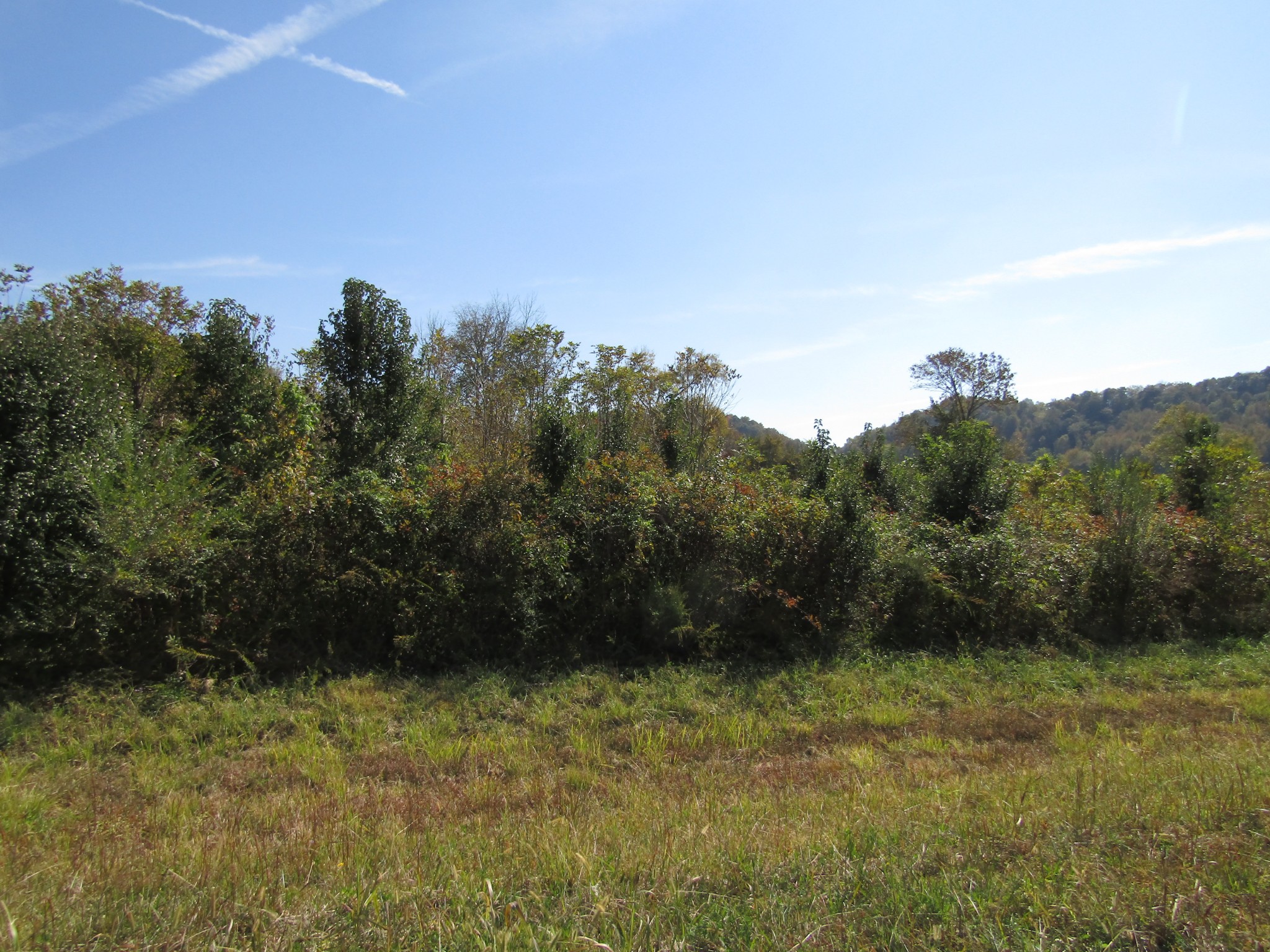 Ann Bulter Real Estate Listings Main Image