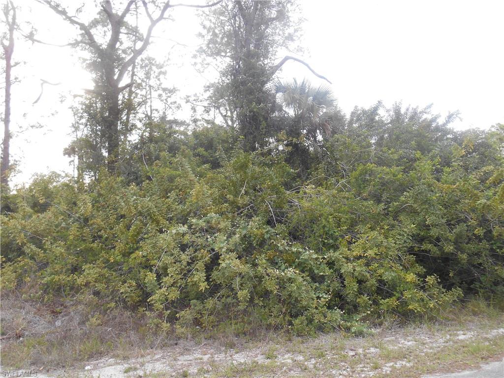 1515 Palmetto Ave Property Photo 3