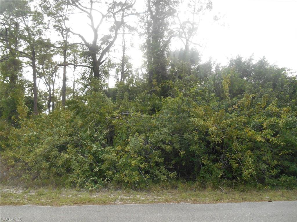 1515 Palmetto Ave Property Photo 6