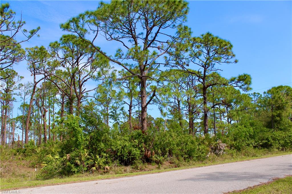 5237 Chaney Ter Property Photo 4