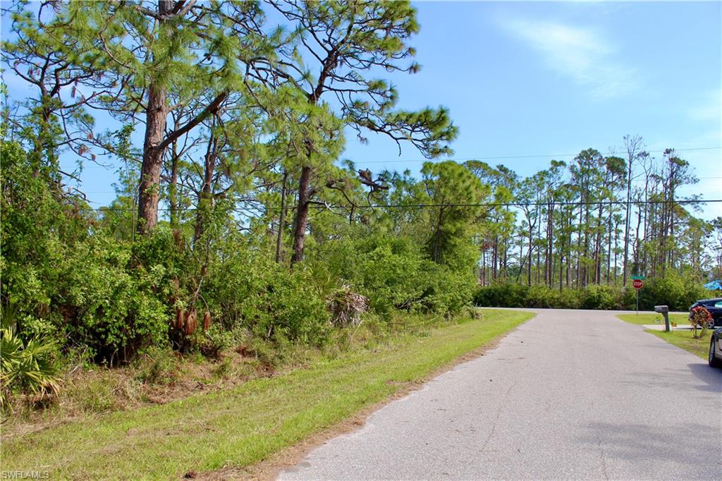 5237 Chaney Ter Property Photo 5