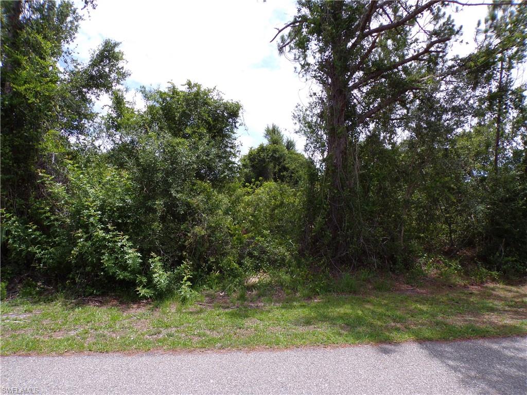 Embassy Rd Property Photo 5