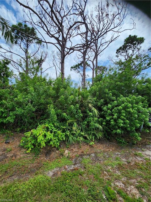 3853 Citrus St Property Photo 1