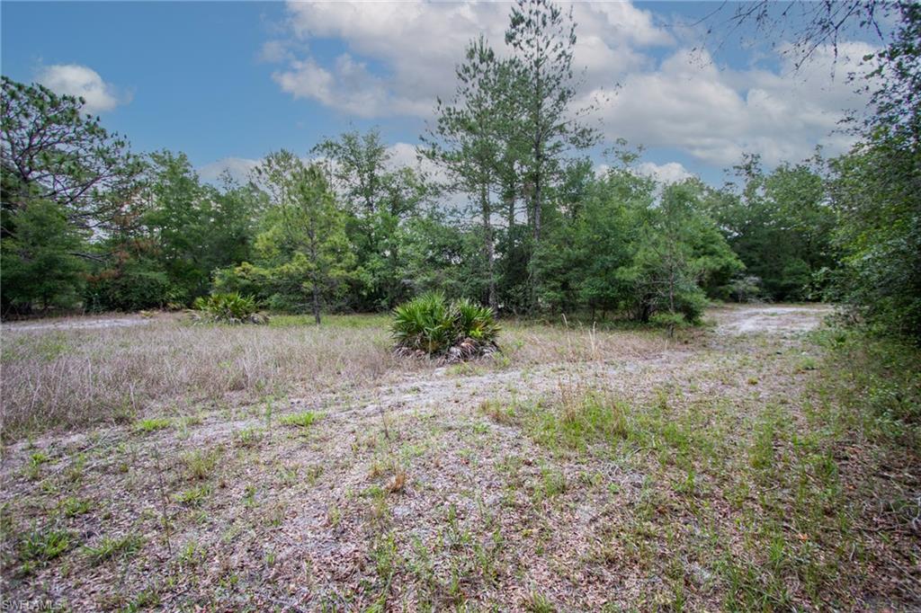 34122 August Ave Property Photo 4