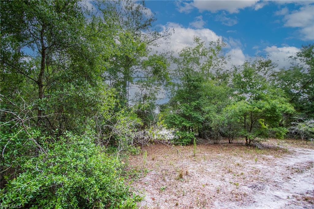 34122 August Ave Property Photo 5