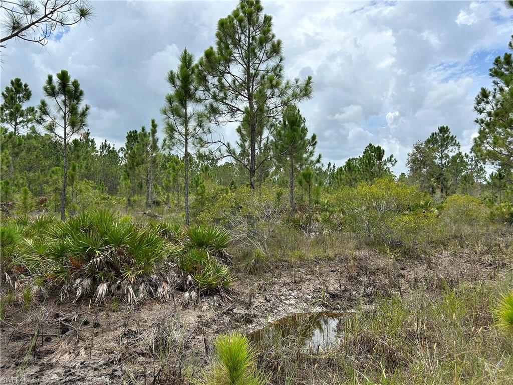 50648 Bermont Rd Property Photo 22