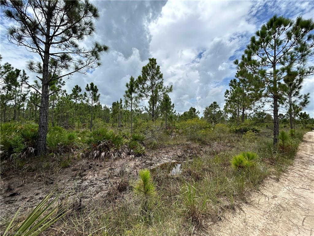 50648 Bermont Rd Property Photo 23