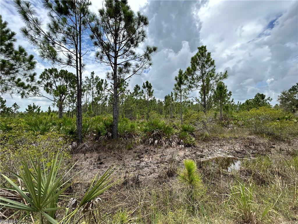 50648 Bermont Rd Property Photo 24