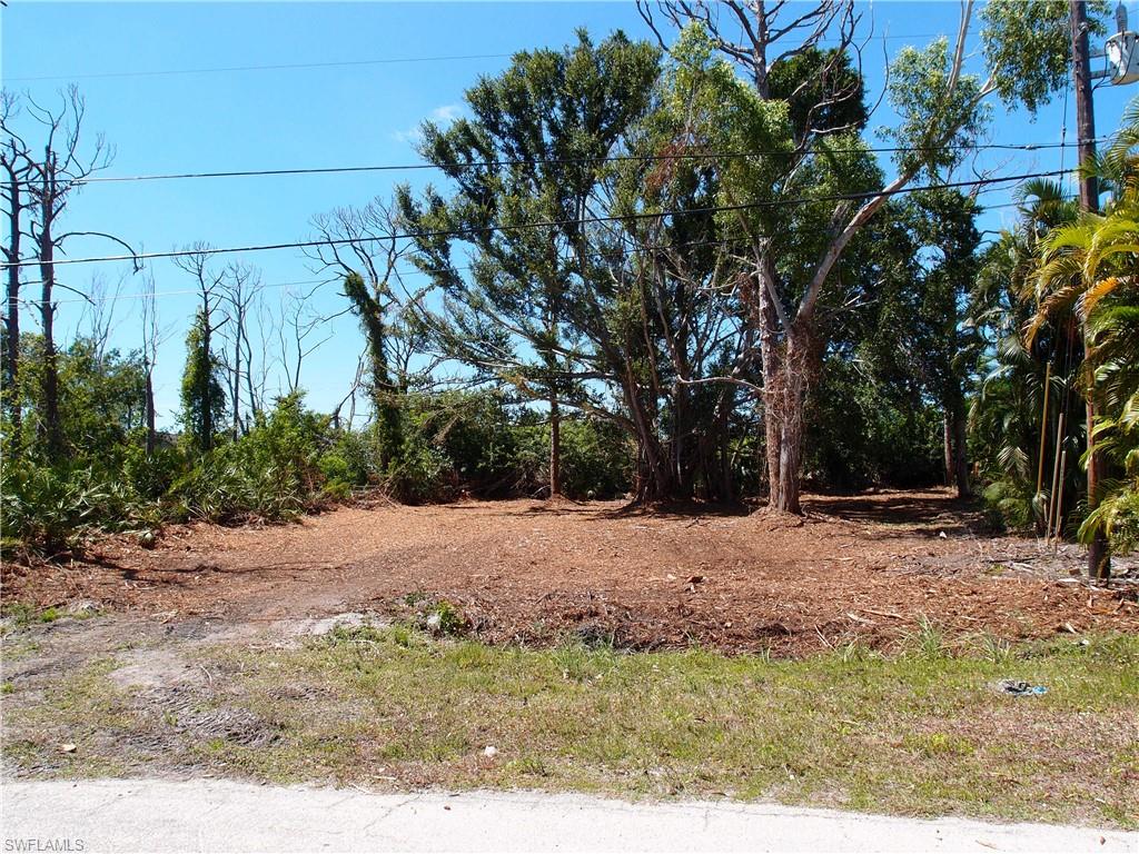 3916 Papaya St Property Photo 1