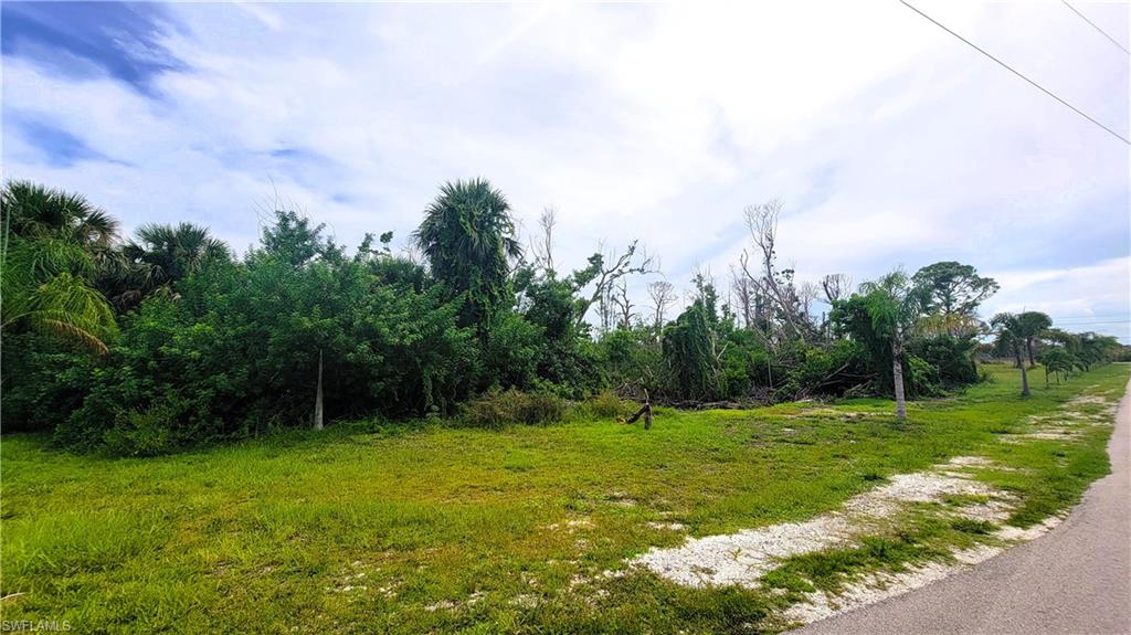 3921 Stabile Rd Property Photo 4
