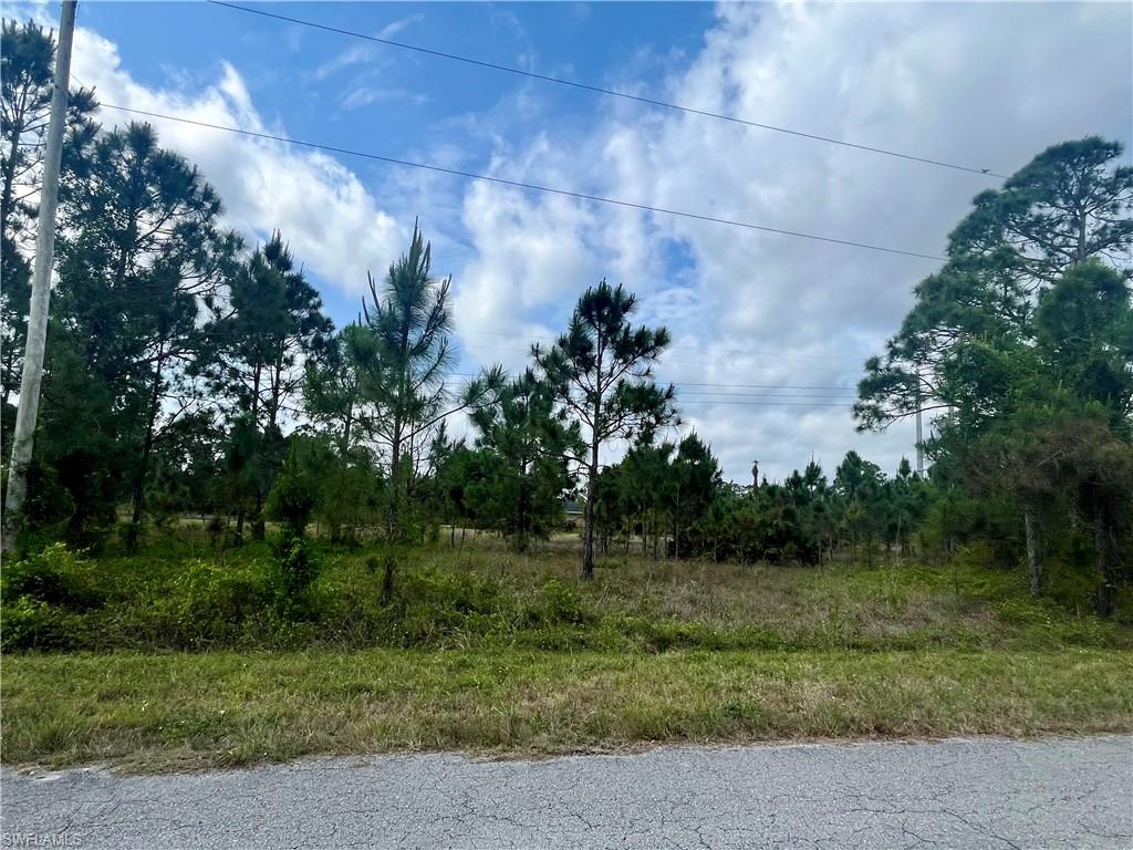 1166 Briarcliffe ST Property Photo 1