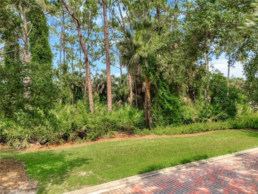 4665 Idylwood Ln Property Photo 6