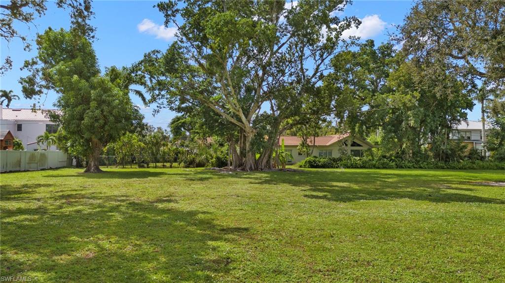 1334 Plumosa Dr Property Photo 4