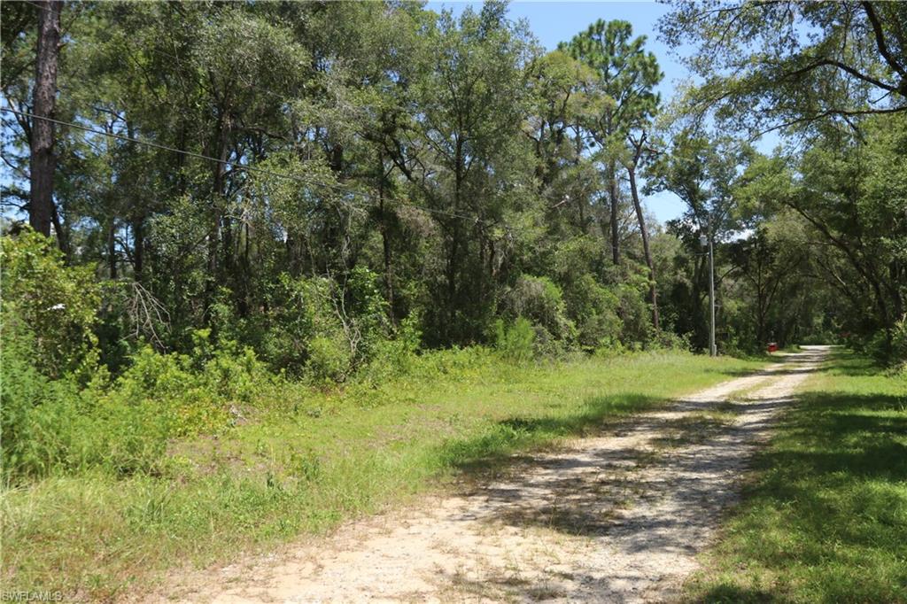 3067 Christopher Ln Property Photo 8