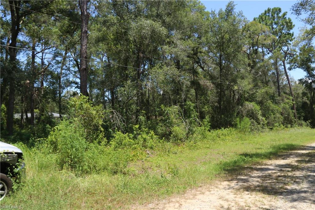 3067 Christopher Ln Property Photo 9