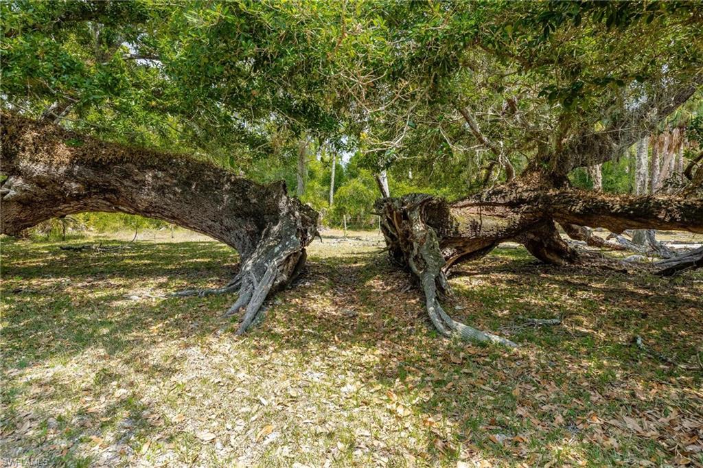 18301 Old Bayshore Rd Property Photo 6