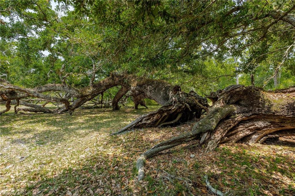 18301 Old Bayshore Rd Property Photo 10