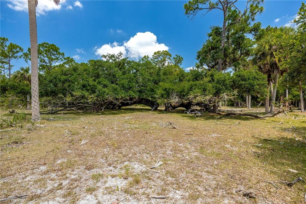 18301 Old Bayshore Rd Property Photo 22