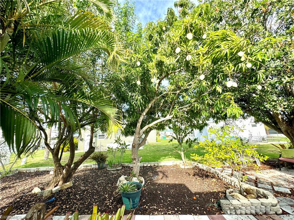 27373 Pauline Dr Property Photo 5