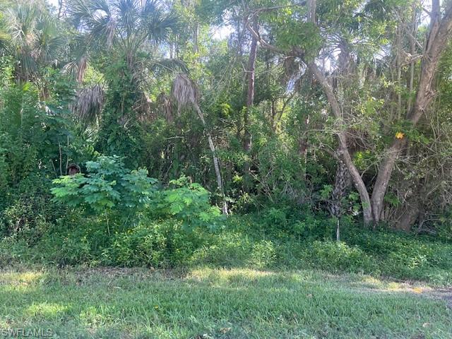 Xxx Pine Tree Dr Property Photo 1
