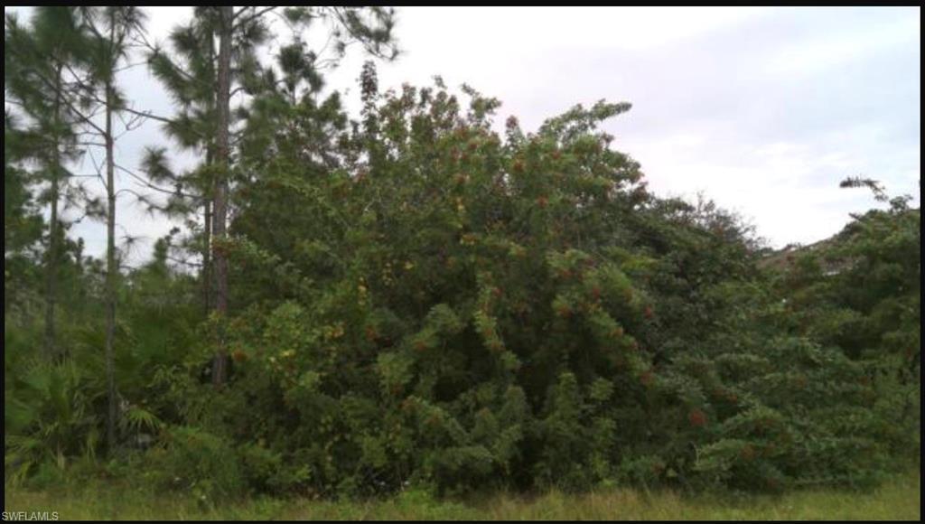 3601 Hanna Ave N Property Photo 2