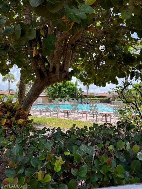 25000 Tamiami Trl E # C128 Property Photo 2