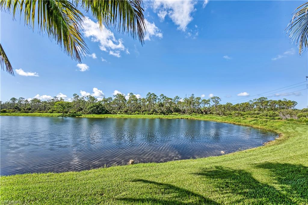 9735 Acqua Ct # 622 Property Photo 19