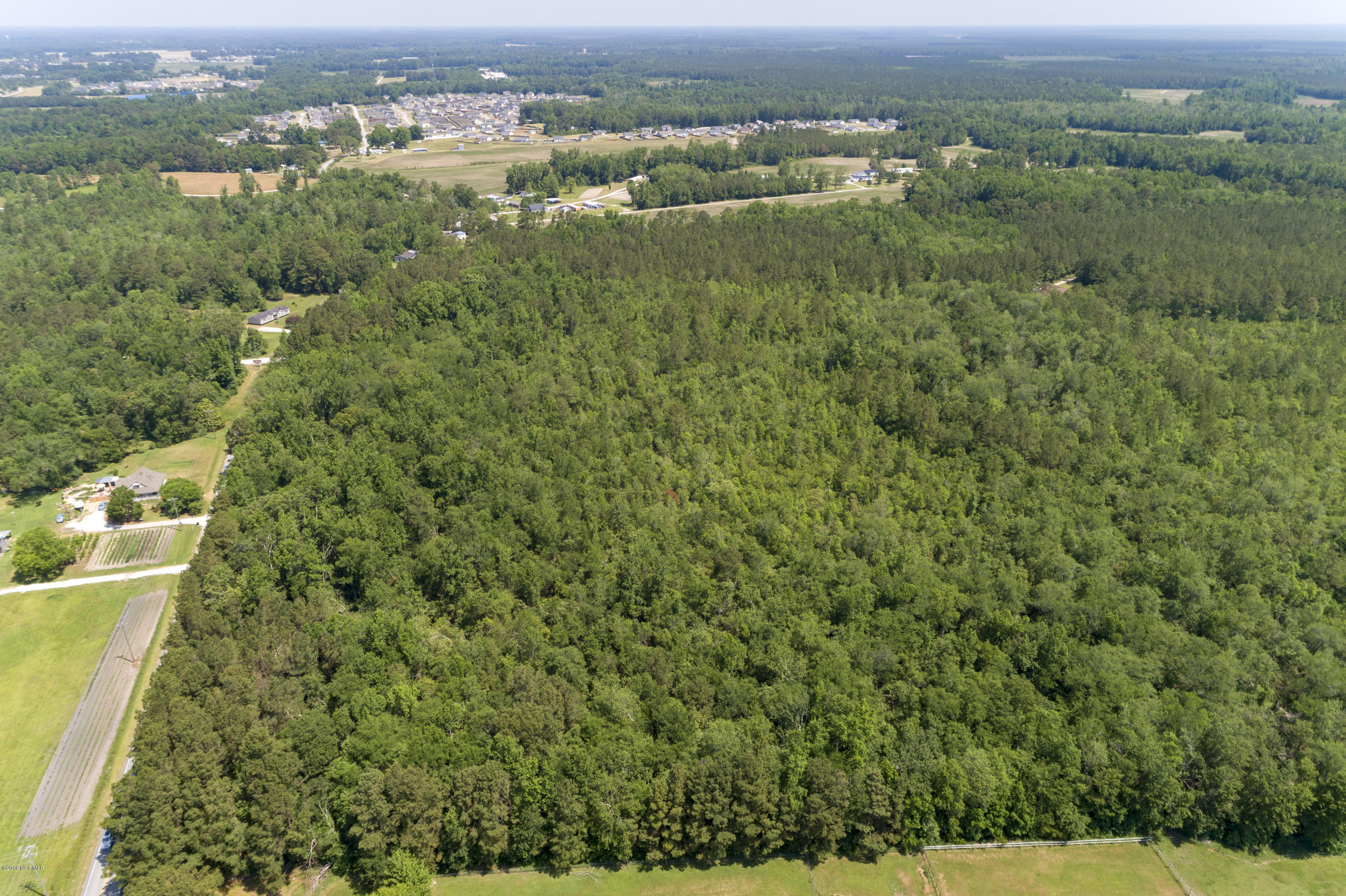 Tbd Cow Horn Road Property Photo 5