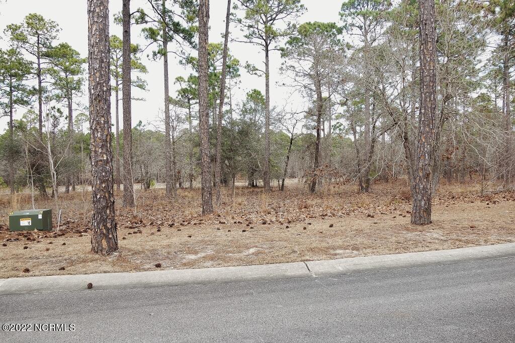 3043 Flora Lane Property Photo 1