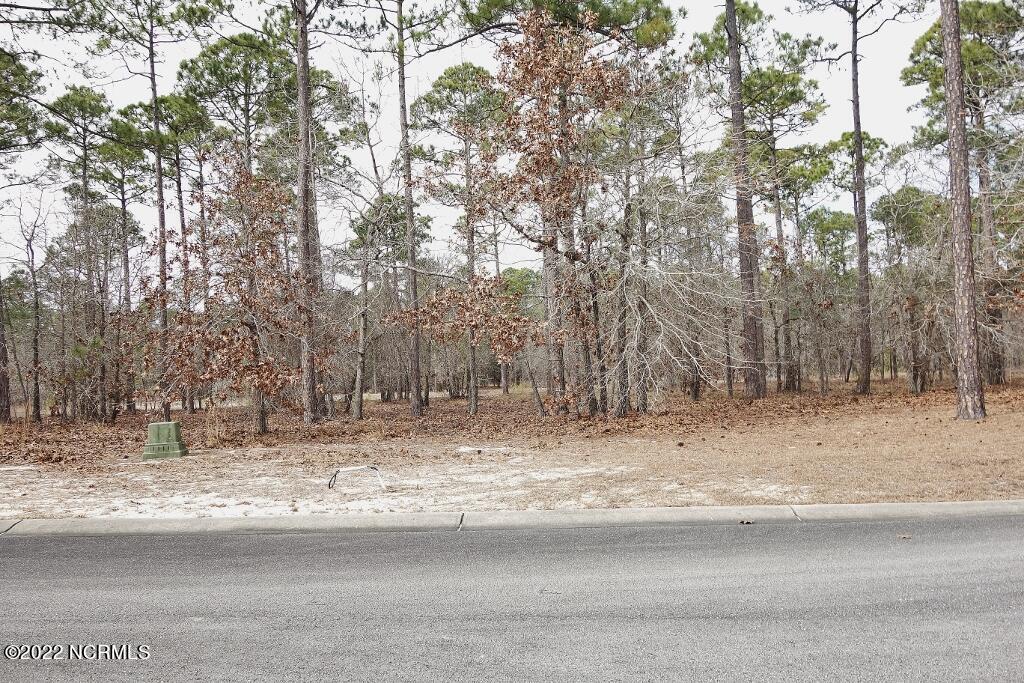 3055 Flora Lane Property Photo 1