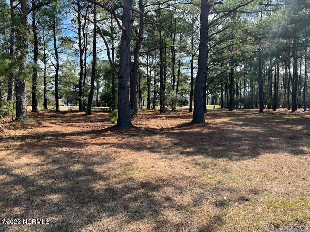 1061 Meadowlands Trail Property Photo 1