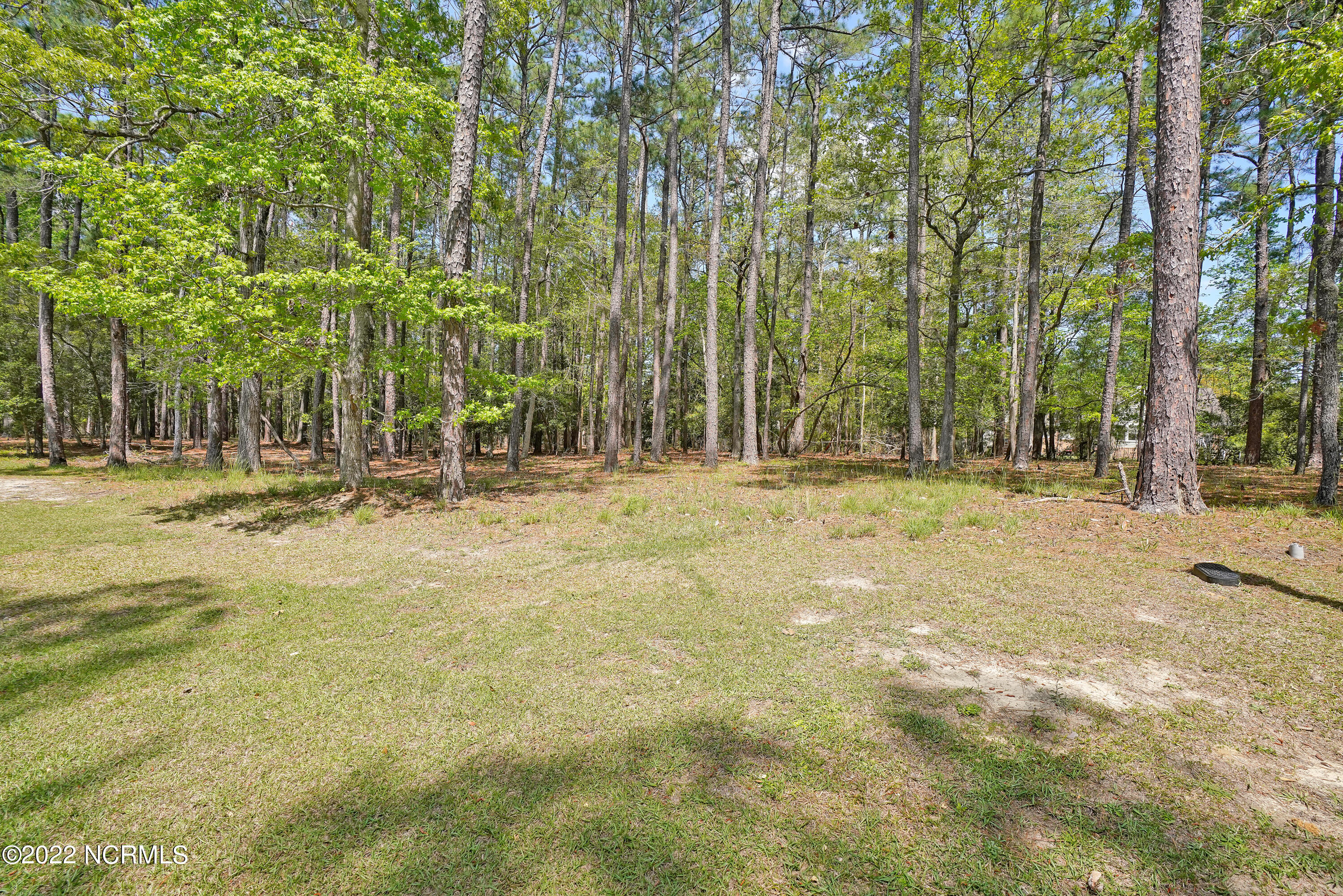 3736 Pine Brook Trail Property Photo