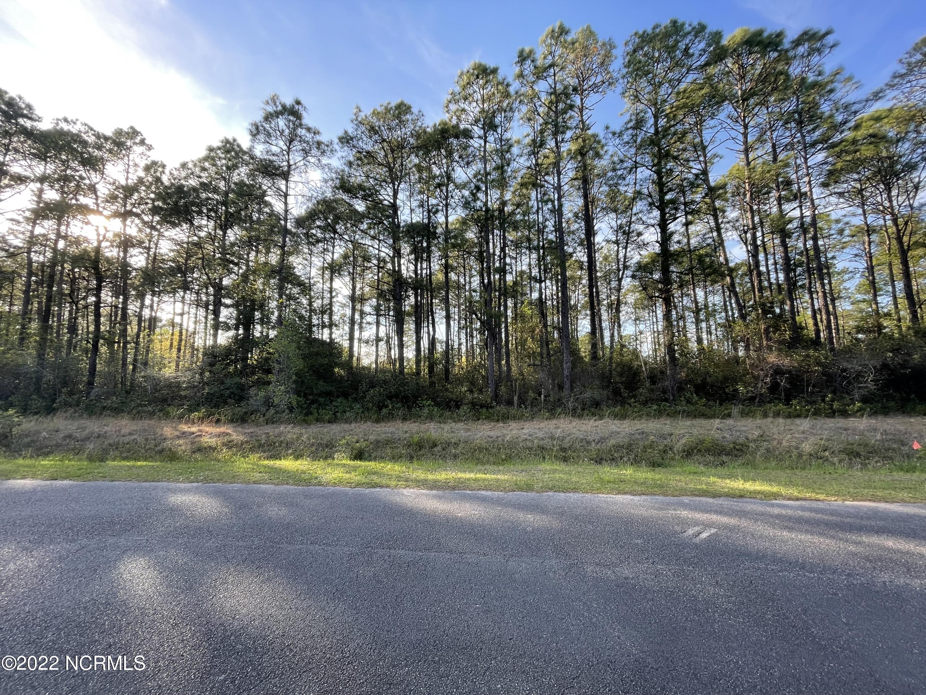 217 Woodyard Drive Property Photo 1