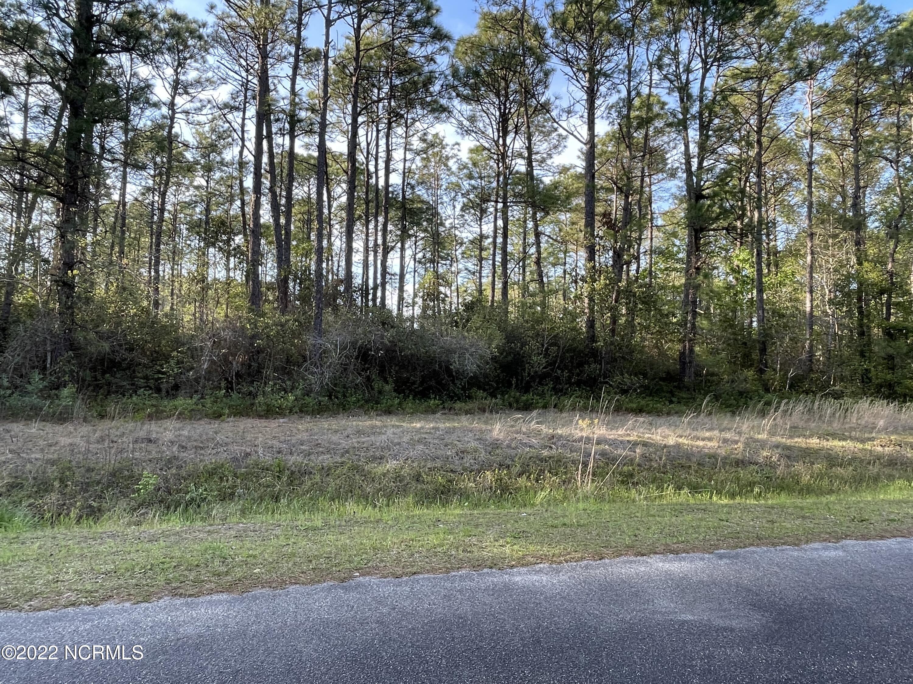 209 Woodyard Drive Property Photo 1