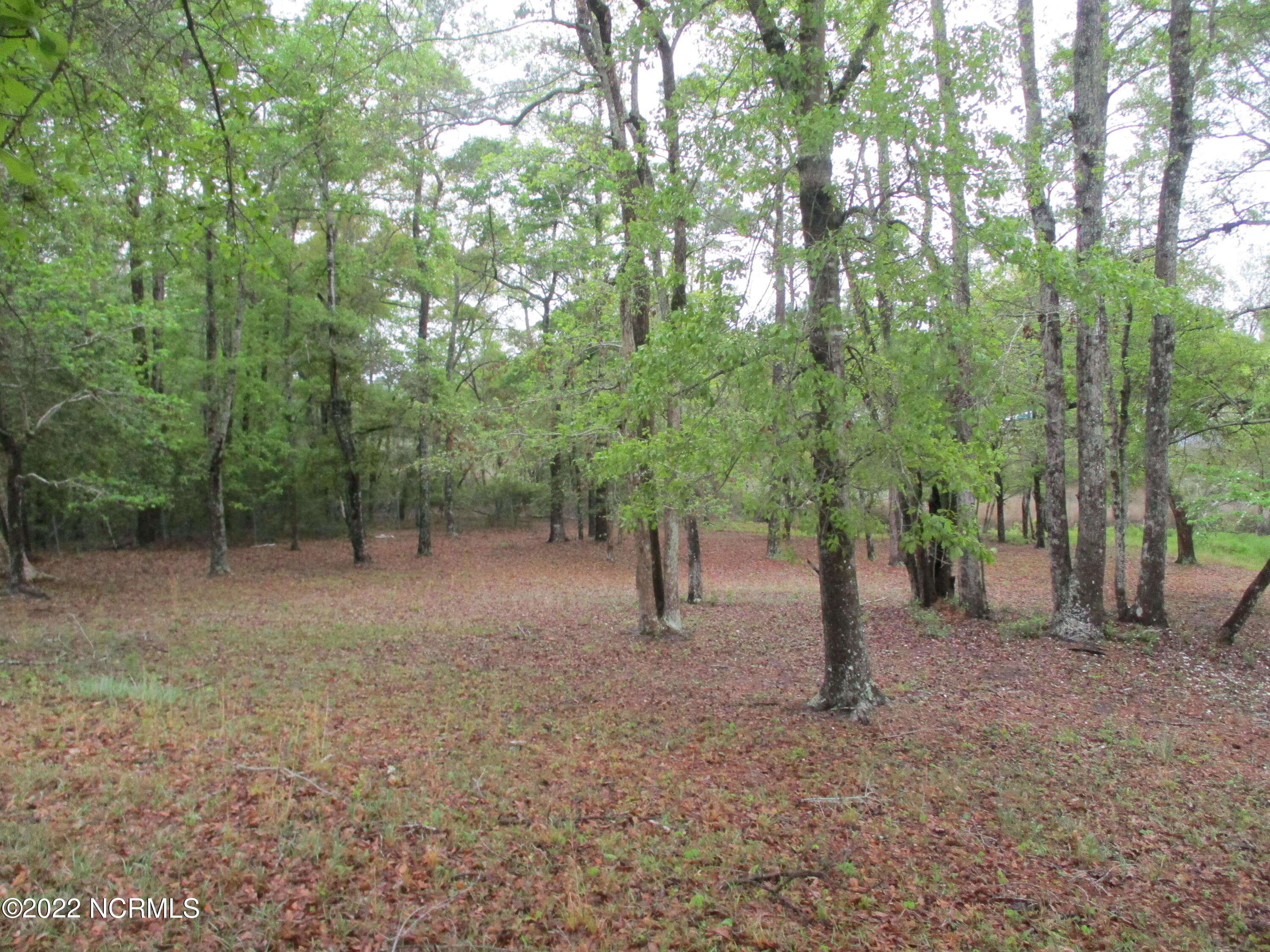 1617 Salmon Lane Property Photo 1